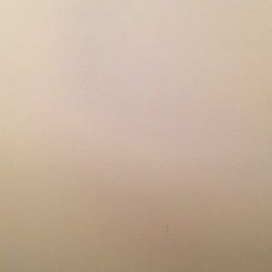 Meet your Posher, Judith